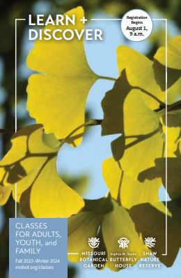 Brochure cover